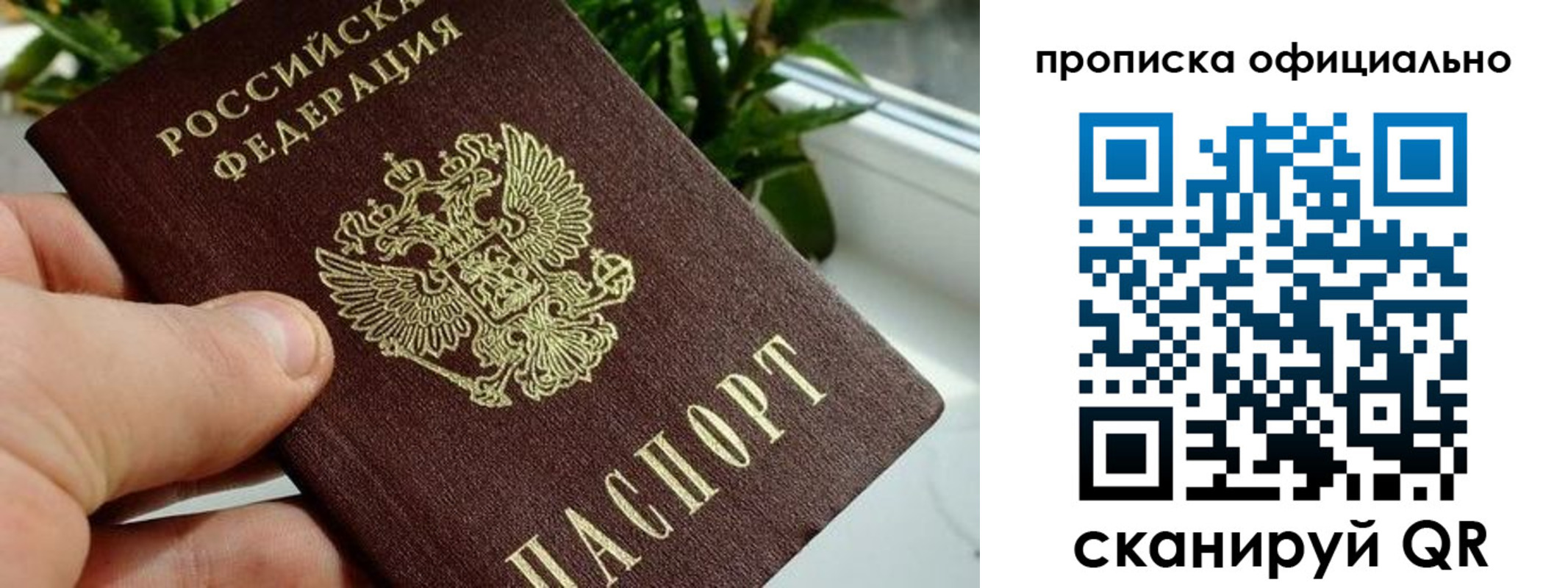 прописка поиск в Белебее